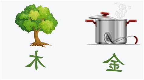 2024 金木水火土